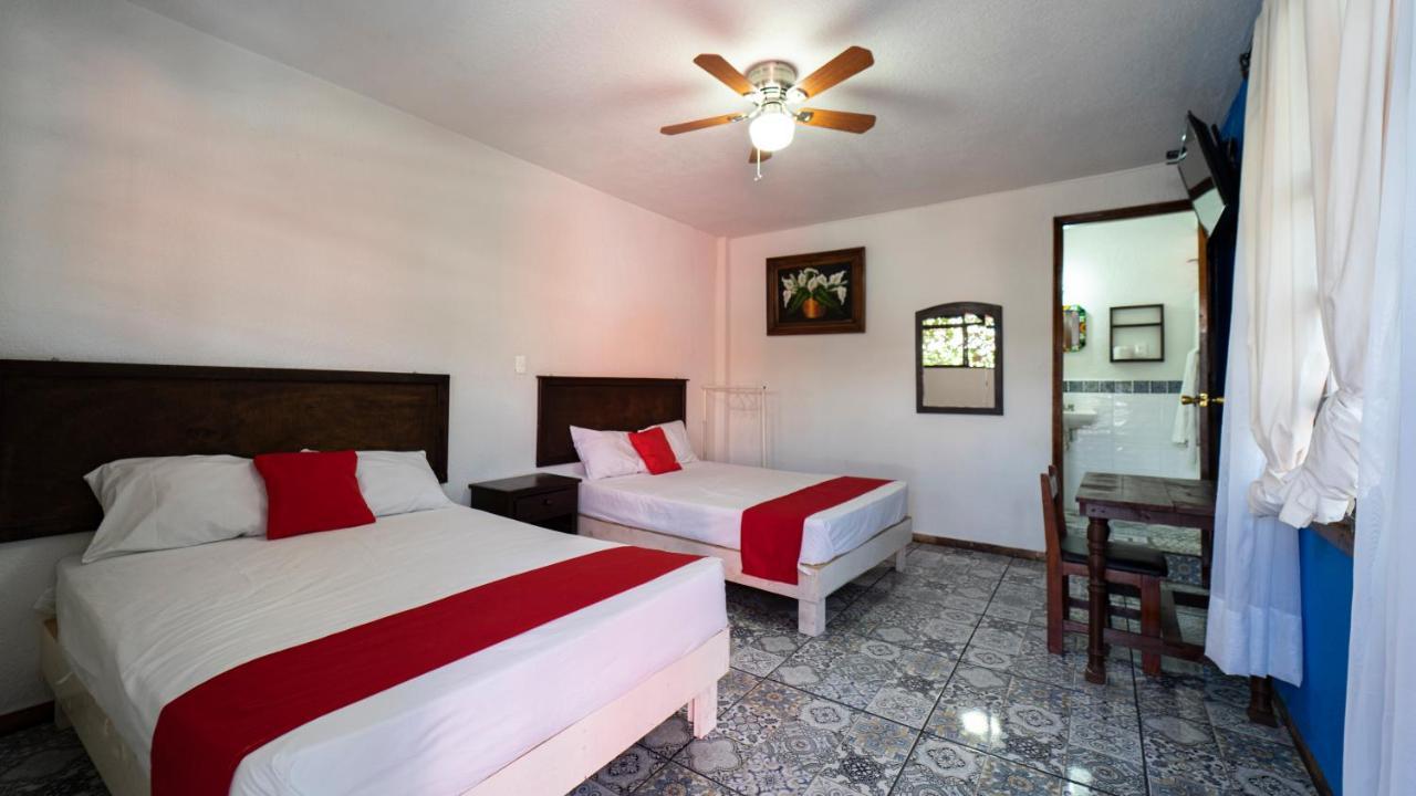 Hotel Posada Bugambilias サン・ルイス・ポトシ エクステリア 写真