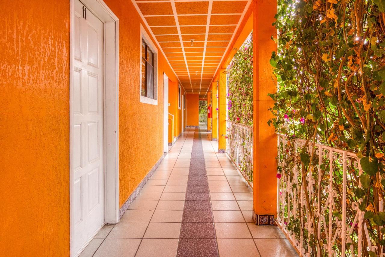 Hotel Posada Bugambilias サン・ルイス・ポトシ エクステリア 写真